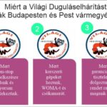 Miért- a-Világi-Duguláselhárítás